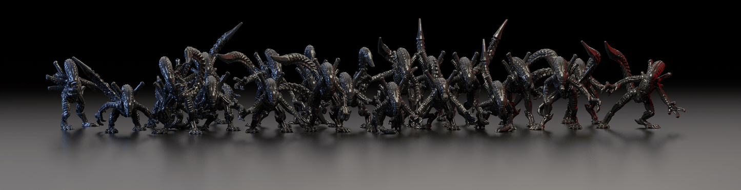 Xeno X01 Warriors